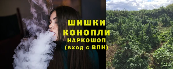 хмурый Бронницы