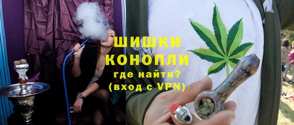 дживик Богородицк